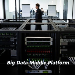 Big Data Middle Platform