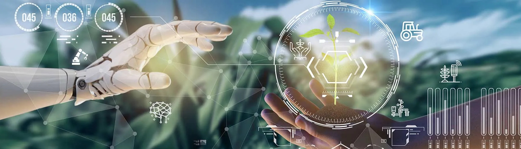 微信图片_20260123183336_54_2